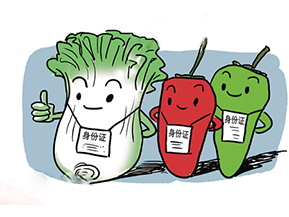 食品追溯系統帶來的優勢有哪些？